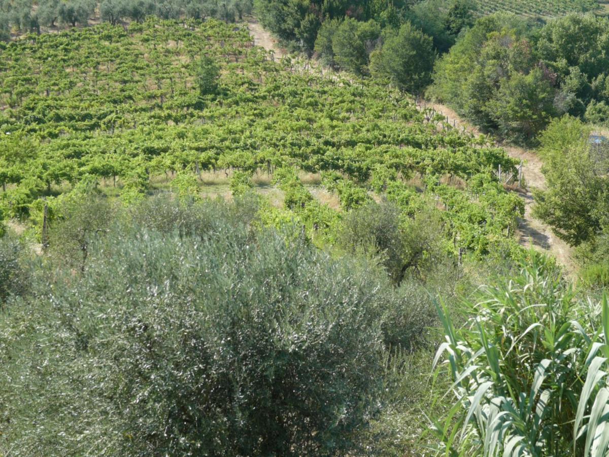 Agriturismo Santa Croce San Gimignano Exterior foto